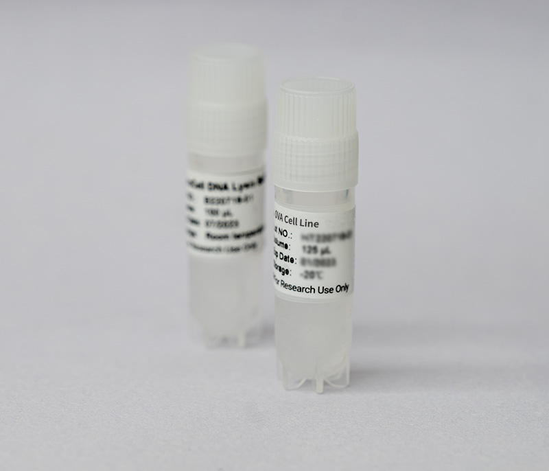 Cell Lines Vitro Biotech