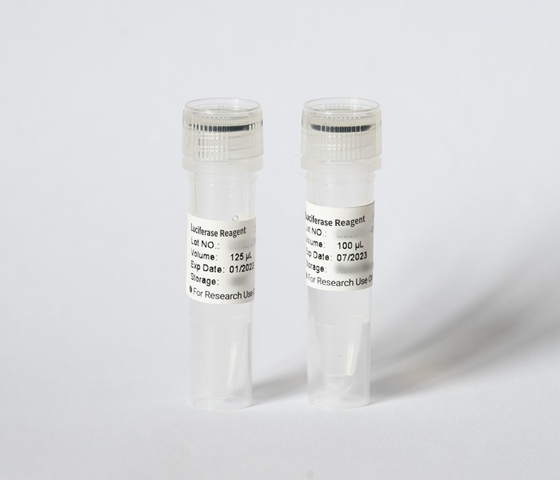 Luciferase Reagents-Vitro Biotech