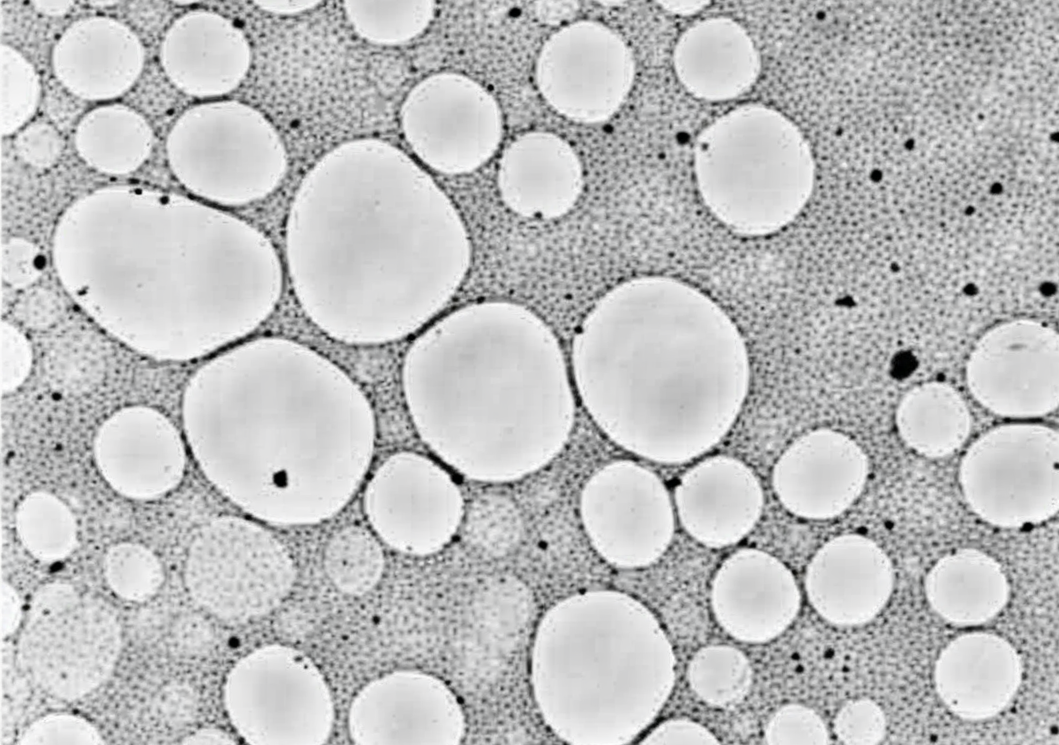 P388D1 Cell Line: From Macrophage-like Characteristics to D