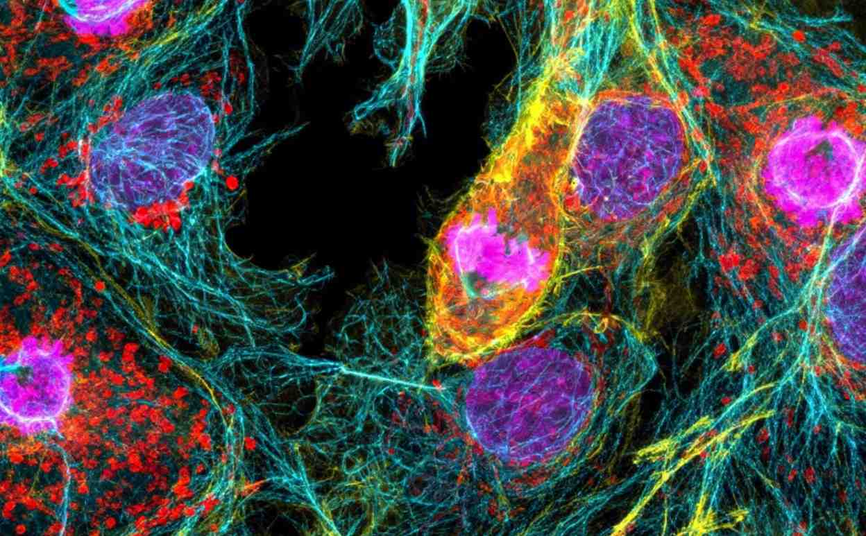 Overcoming CD276 CAR-T Fratrici